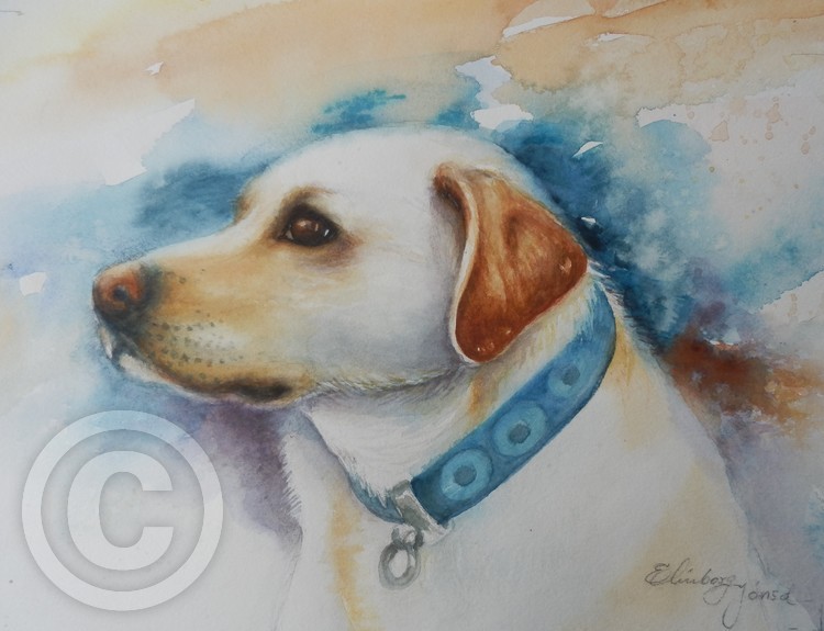 Pet portrait