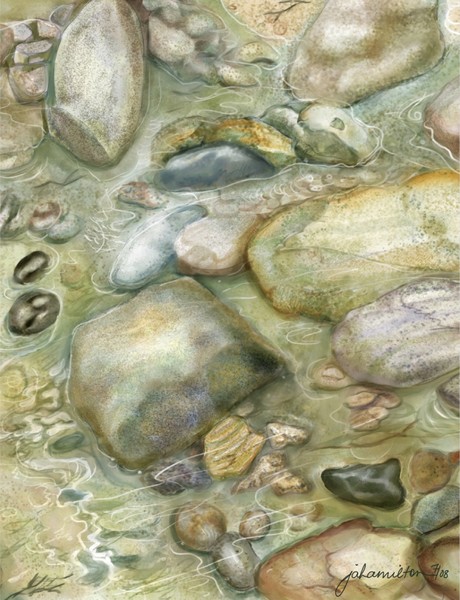 Rocky Shore