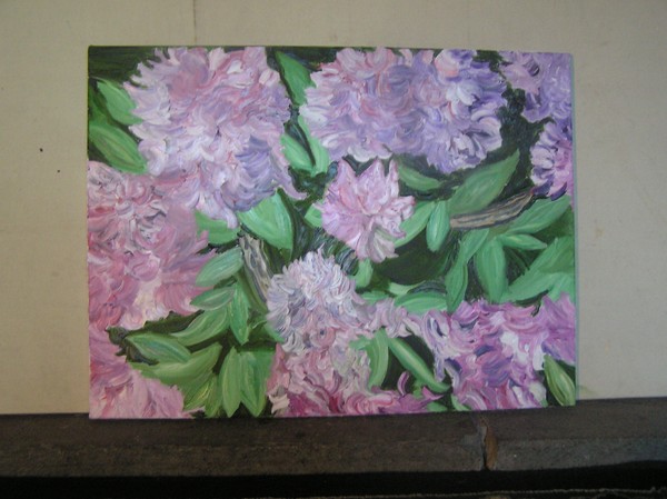 rhod flowers