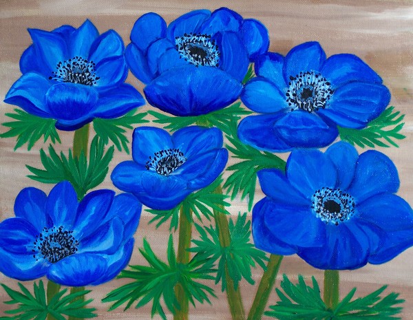 Blue garden Anemones