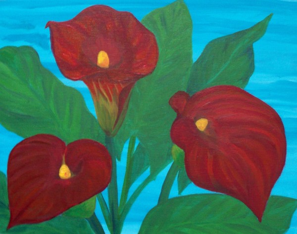Red Calla Lily