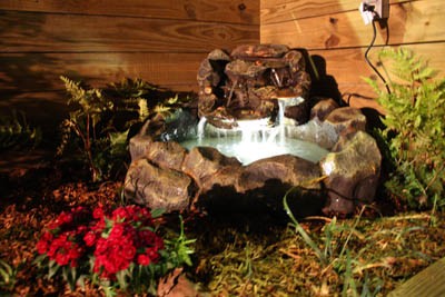 New Pond