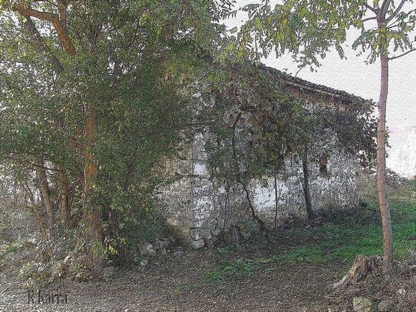 Farmhouse left in time 