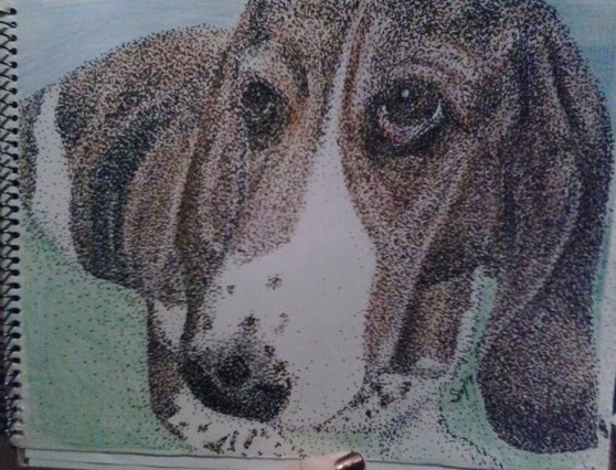 Daisy