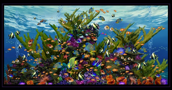 Aquarium of the Sea