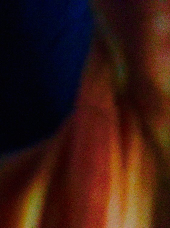 MUSCLE & SINEW