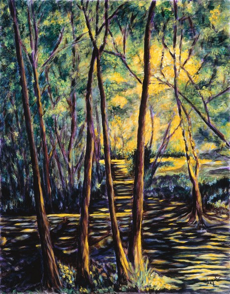 GOLDEN SHADOWS