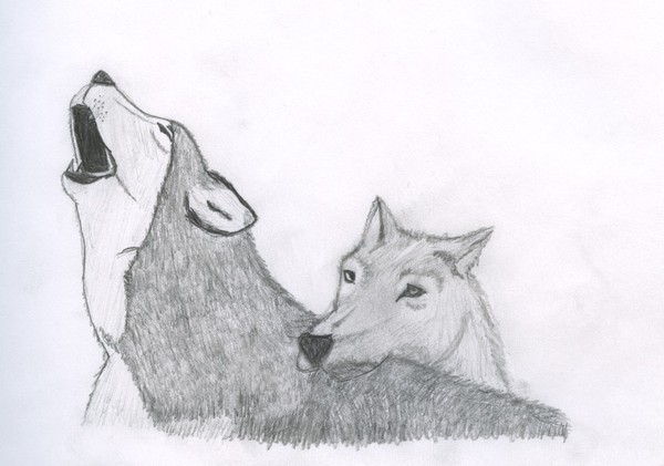 Wolves