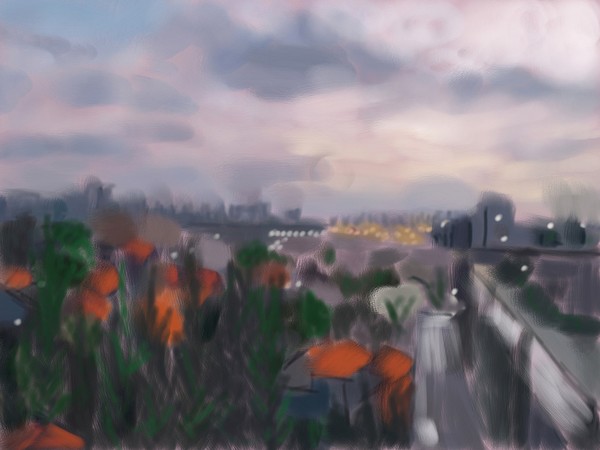 Landscape to the west, 2009