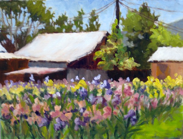 My Wild Iris Rows