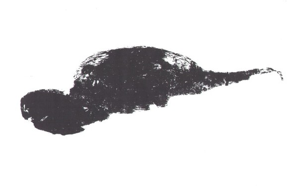 ink drawing 09
