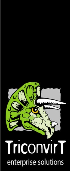 Logo 25