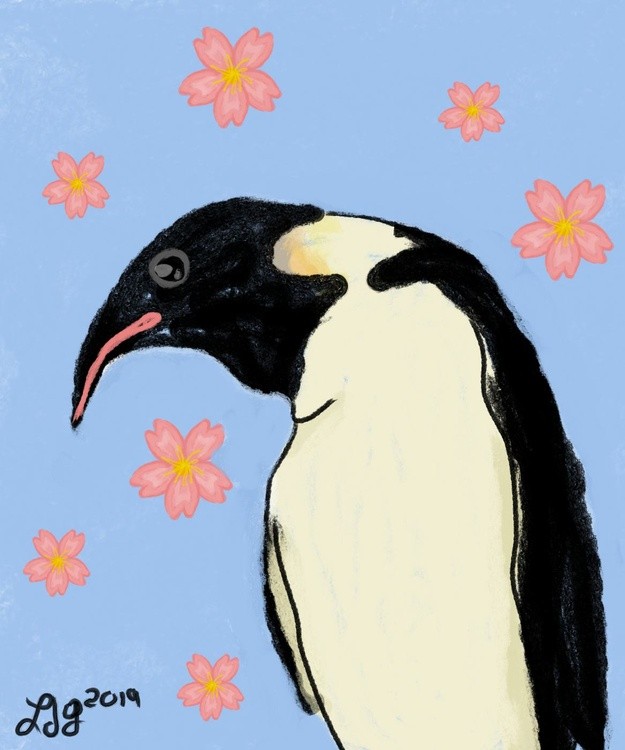 penguinsakura