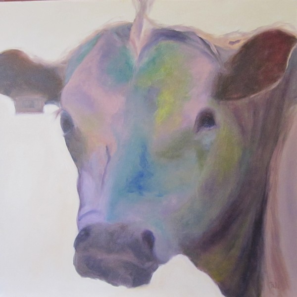 Moooo