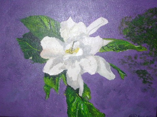 Gardenia