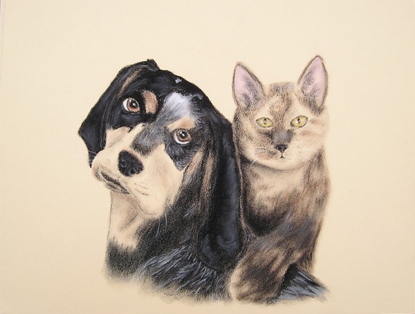 Pet portrait