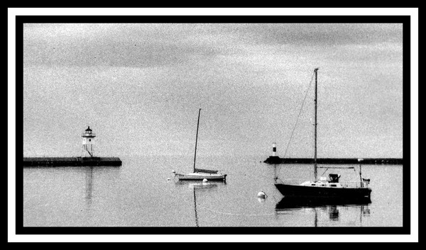 morning in the bay