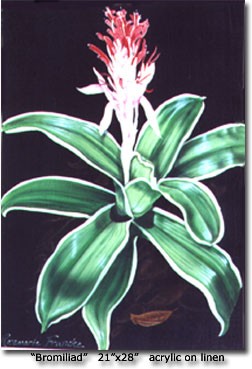 Bromiliad Content Page