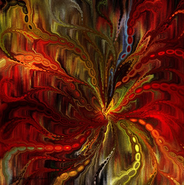 Special creation