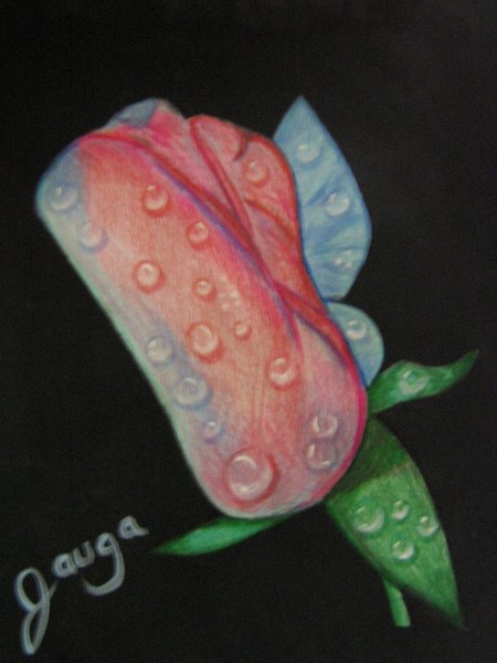 this bud,s for you
