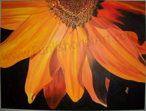 Orange Hues