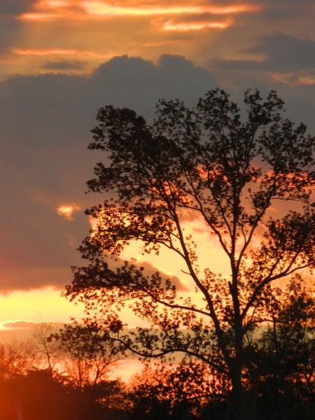 Sundown Soon