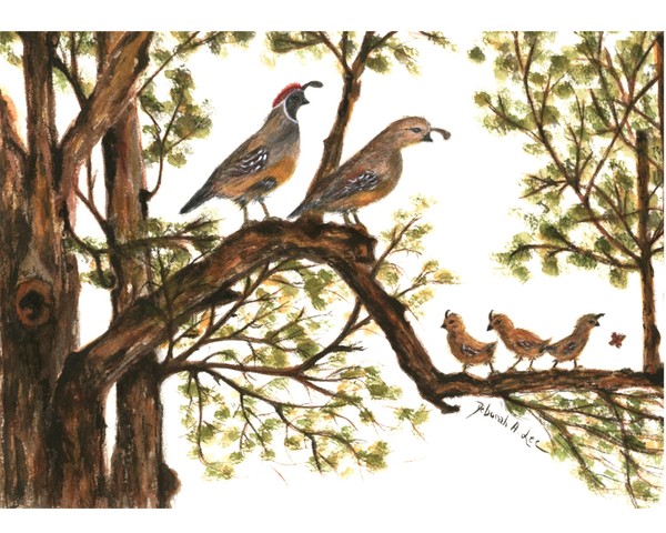 Out On A Limb