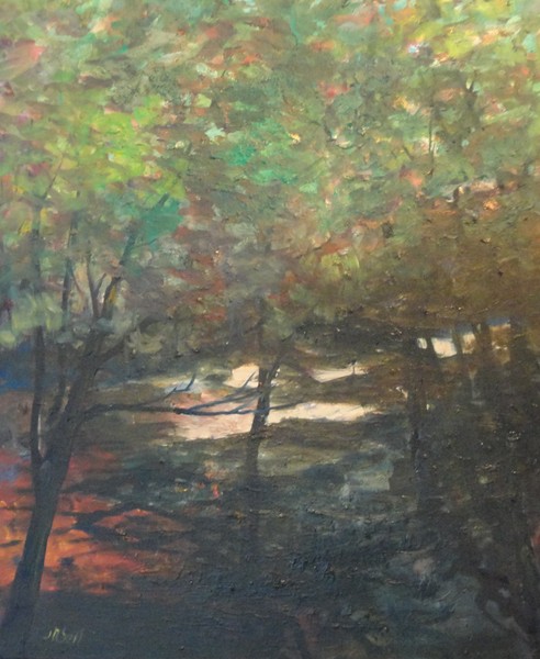 Light In The Forest