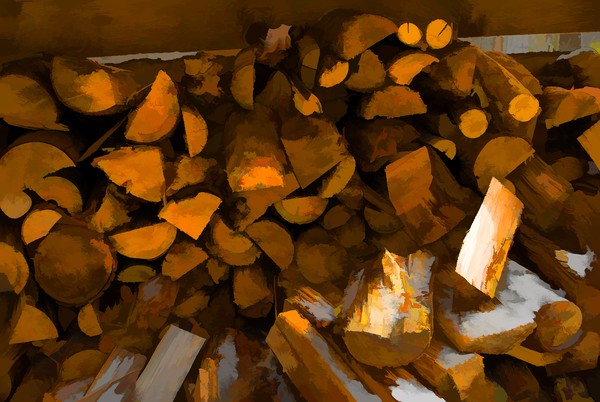 Wood Pile copy