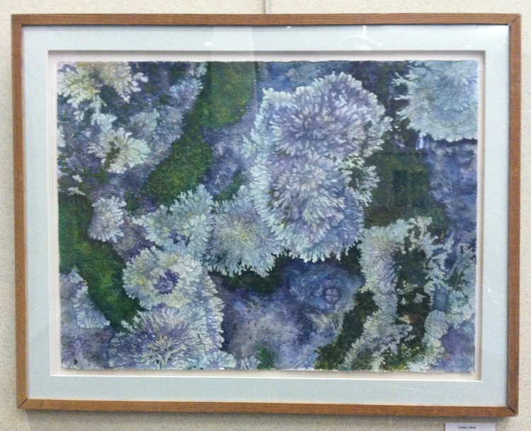 Lichen and Moss