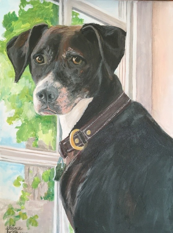 abby's dog