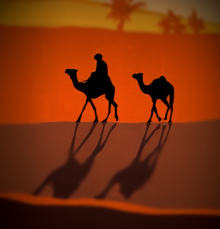 tuareg