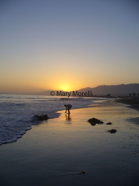 A Beautiful Sunset