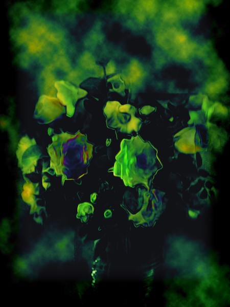 Multidimensional flowers