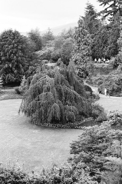 QE park 2