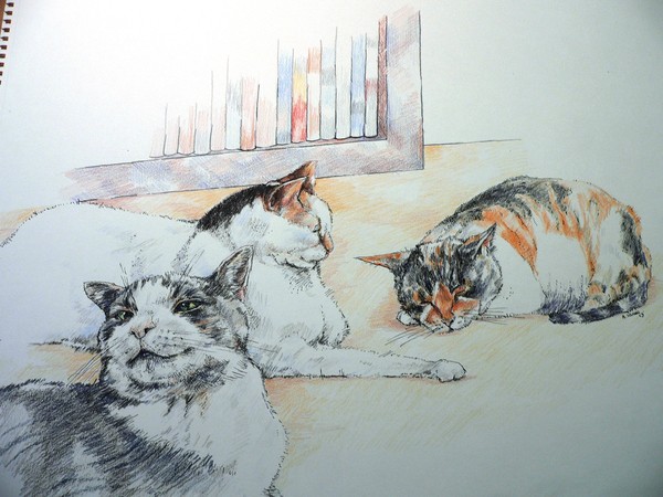 las vegas kitties