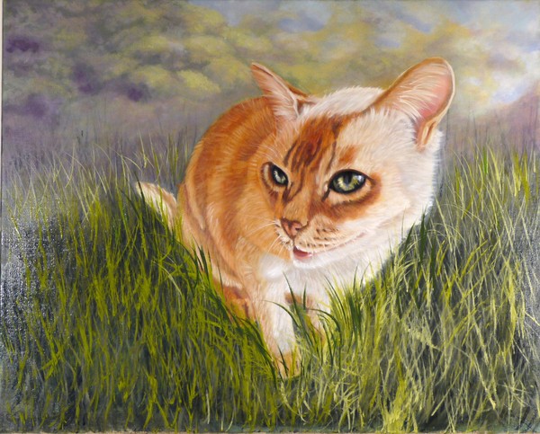 Portrait of a Cat