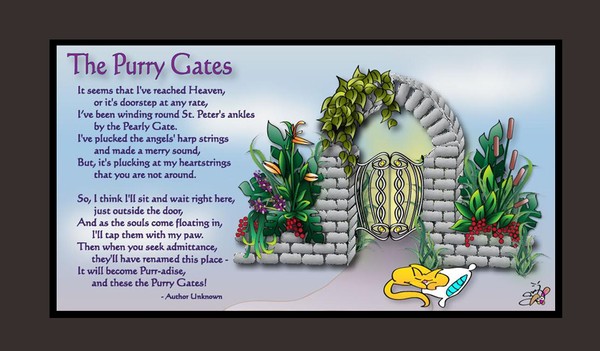 The Purry Gates