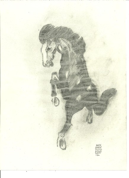 Dark Horse Rising