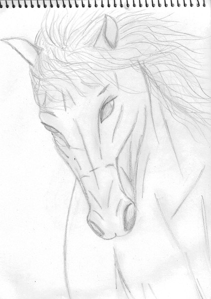 White Horse