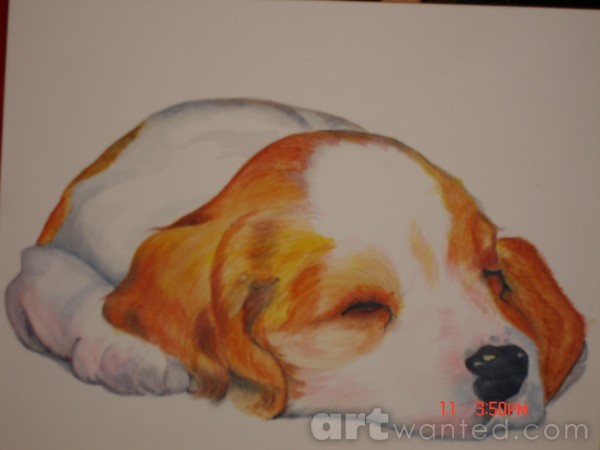 sleeping pup