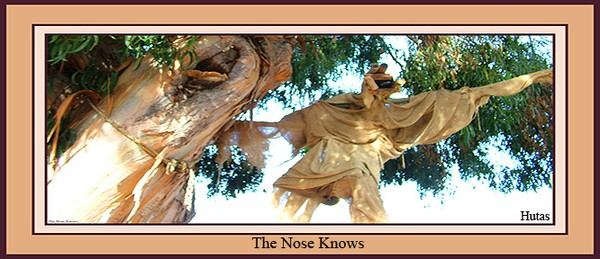 The Nose Knows Card