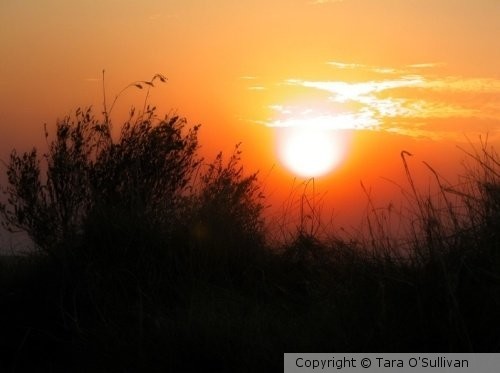 Perth Sunset