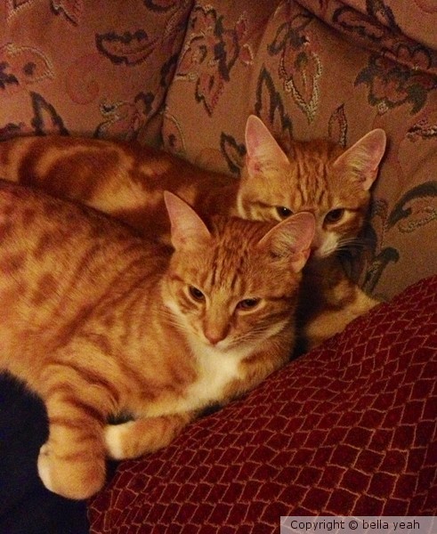 double vision