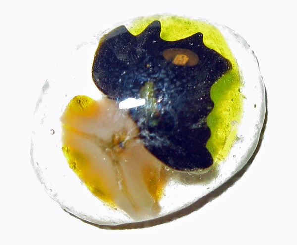 Fused Glass: Clear Oval