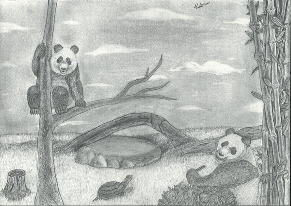Panda