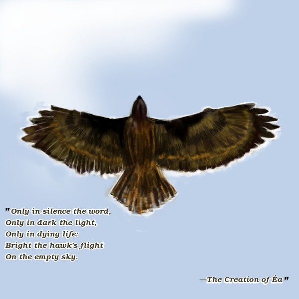 Hawk's flight
