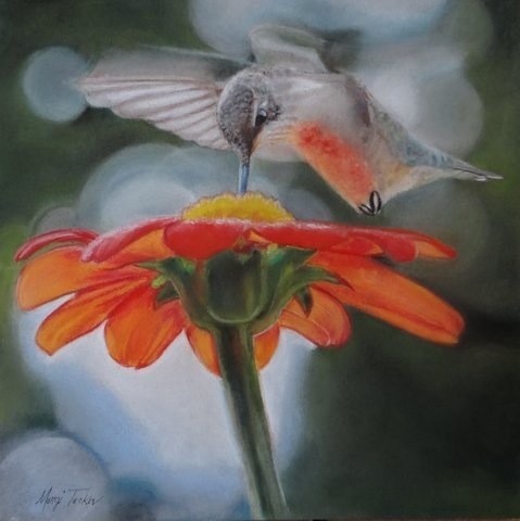 Flighty-Sold