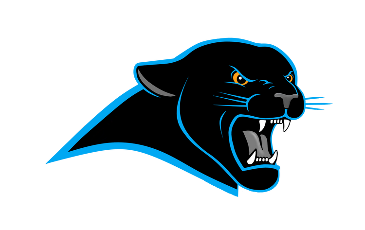 carolina panther