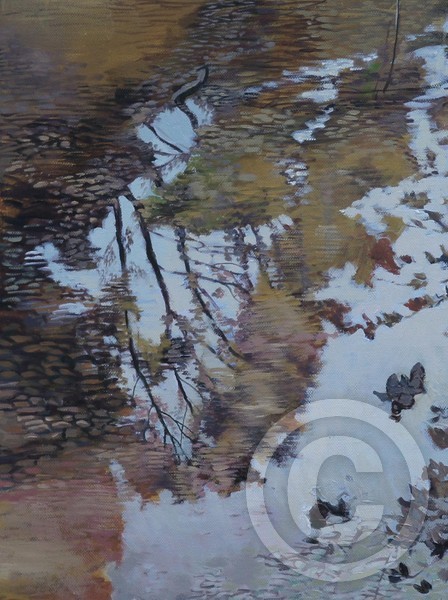 Tenno lake detail 4